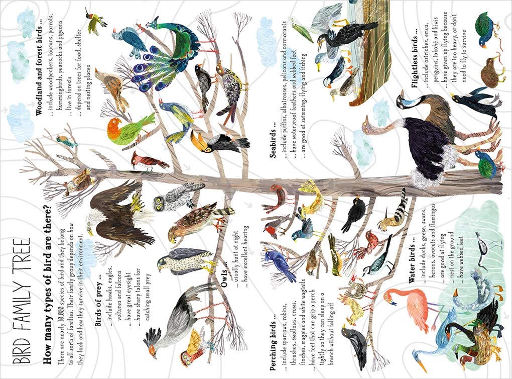Big Book Of Birds - Image 3