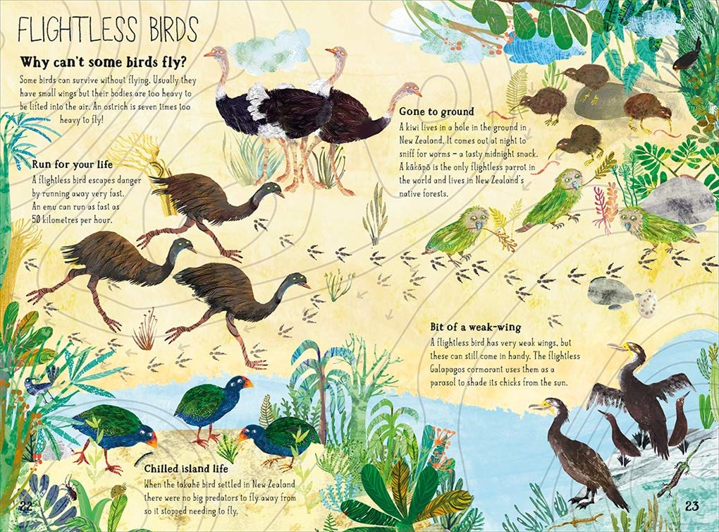 Big Book Of Birds - Image 5