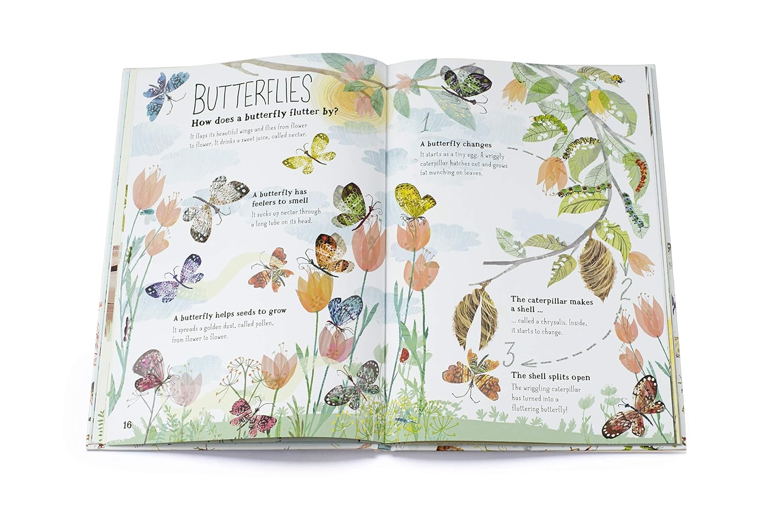 Big Book Of Bugs - Image 3