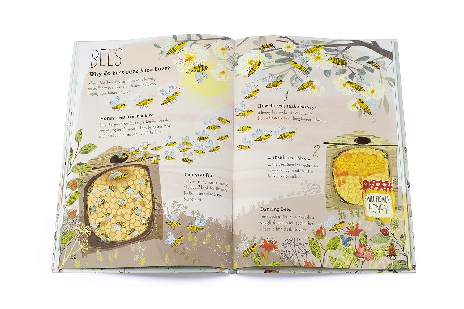 Big Book Of Bugs - Image 4