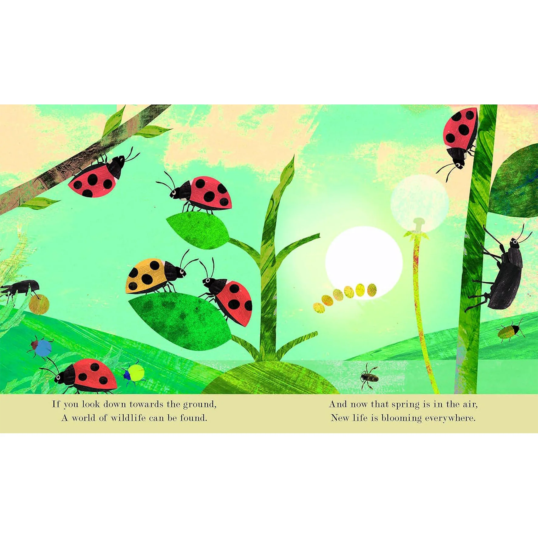 Bugs: Explore a tiny world full of life - Image 3