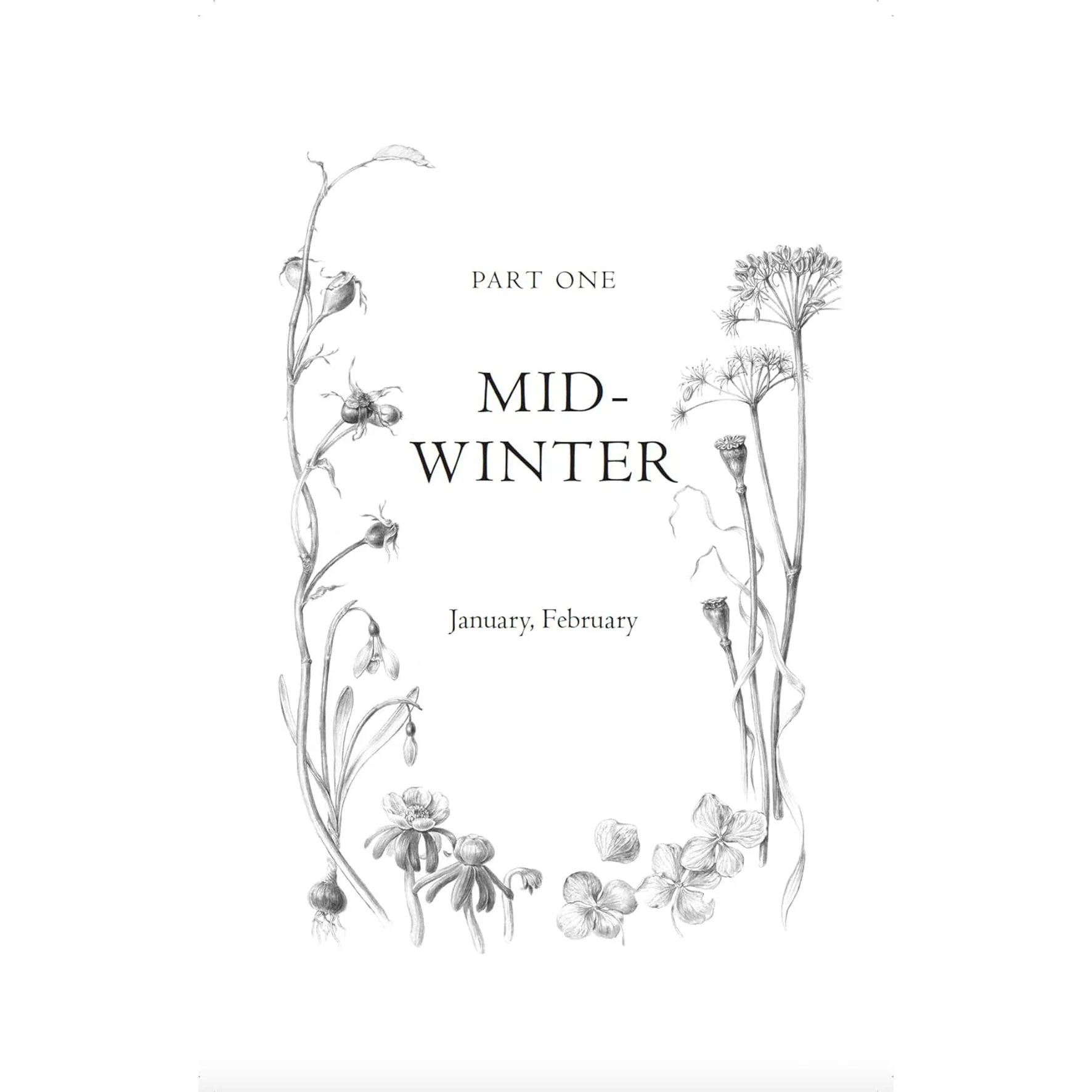Evergreen: Discover the Joy In Every Season - Image 2