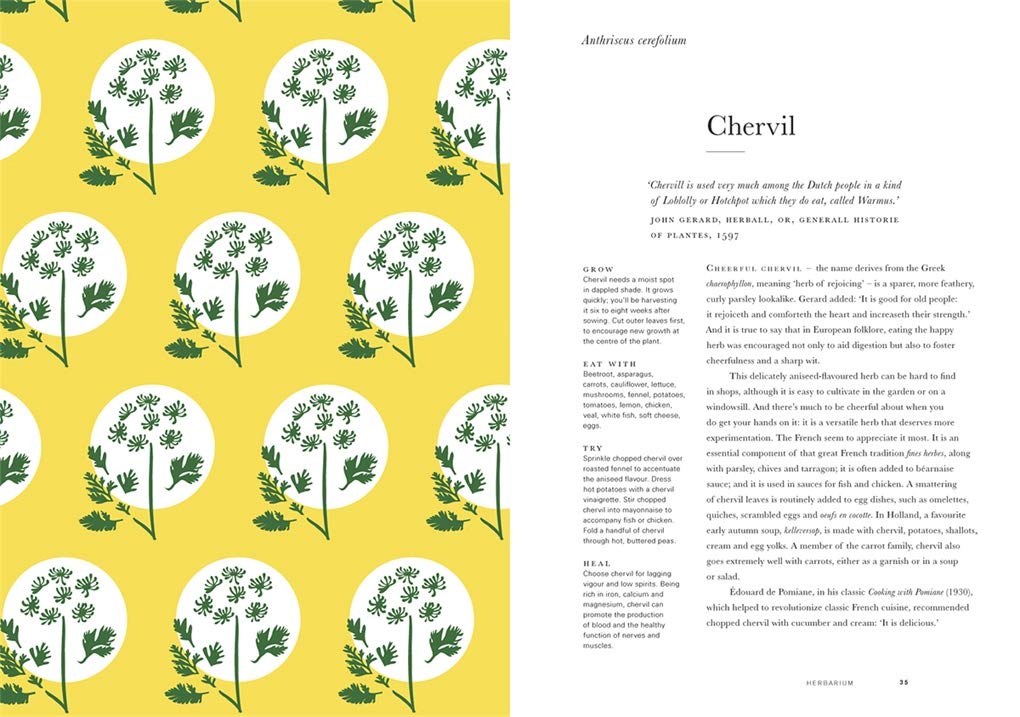 Herbarium - Image 7