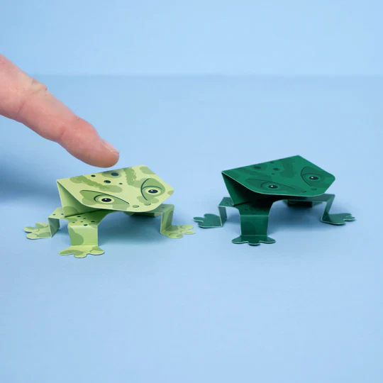 Jumping Frogs Kit - Image 4