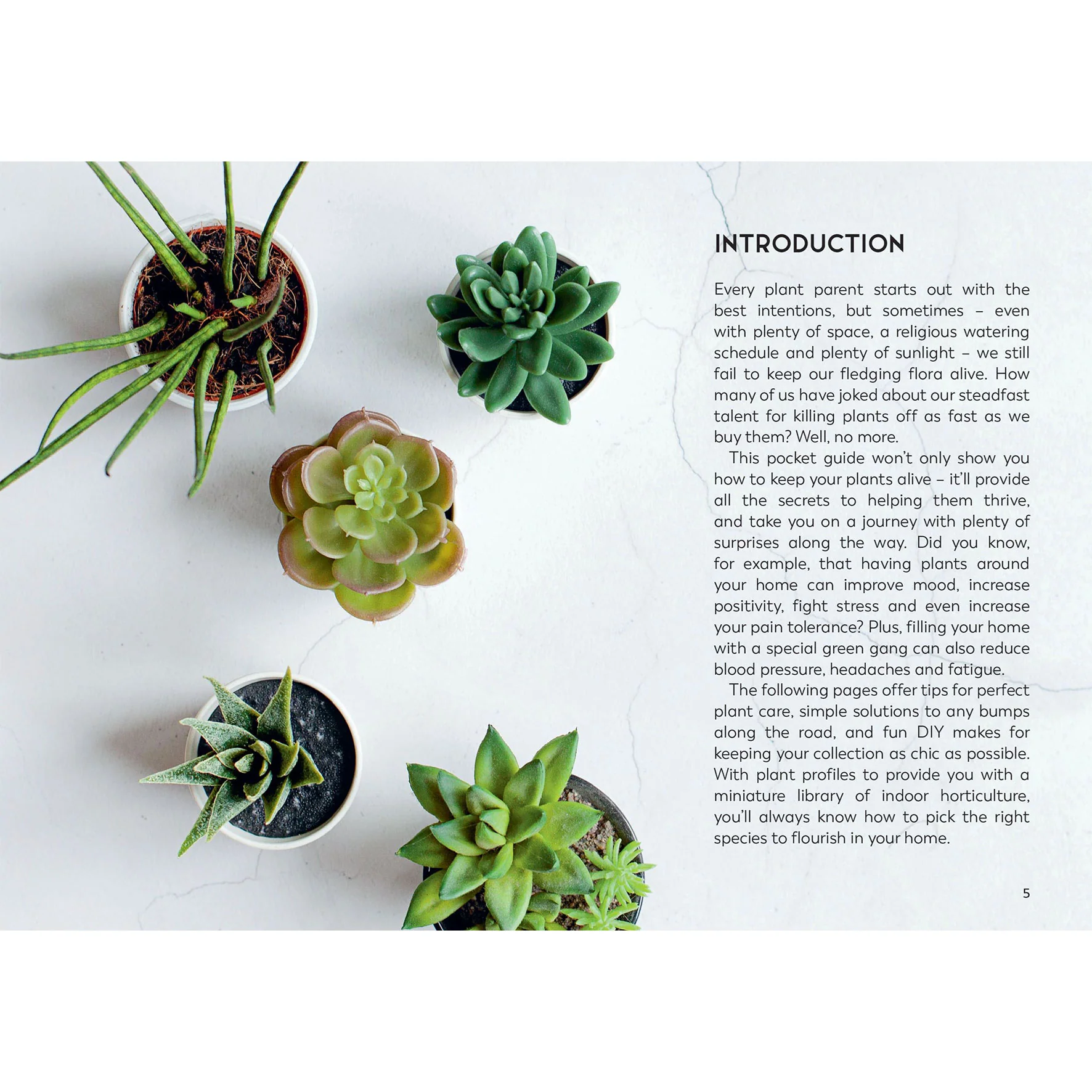 Little Book for Plant Parents - Image 2