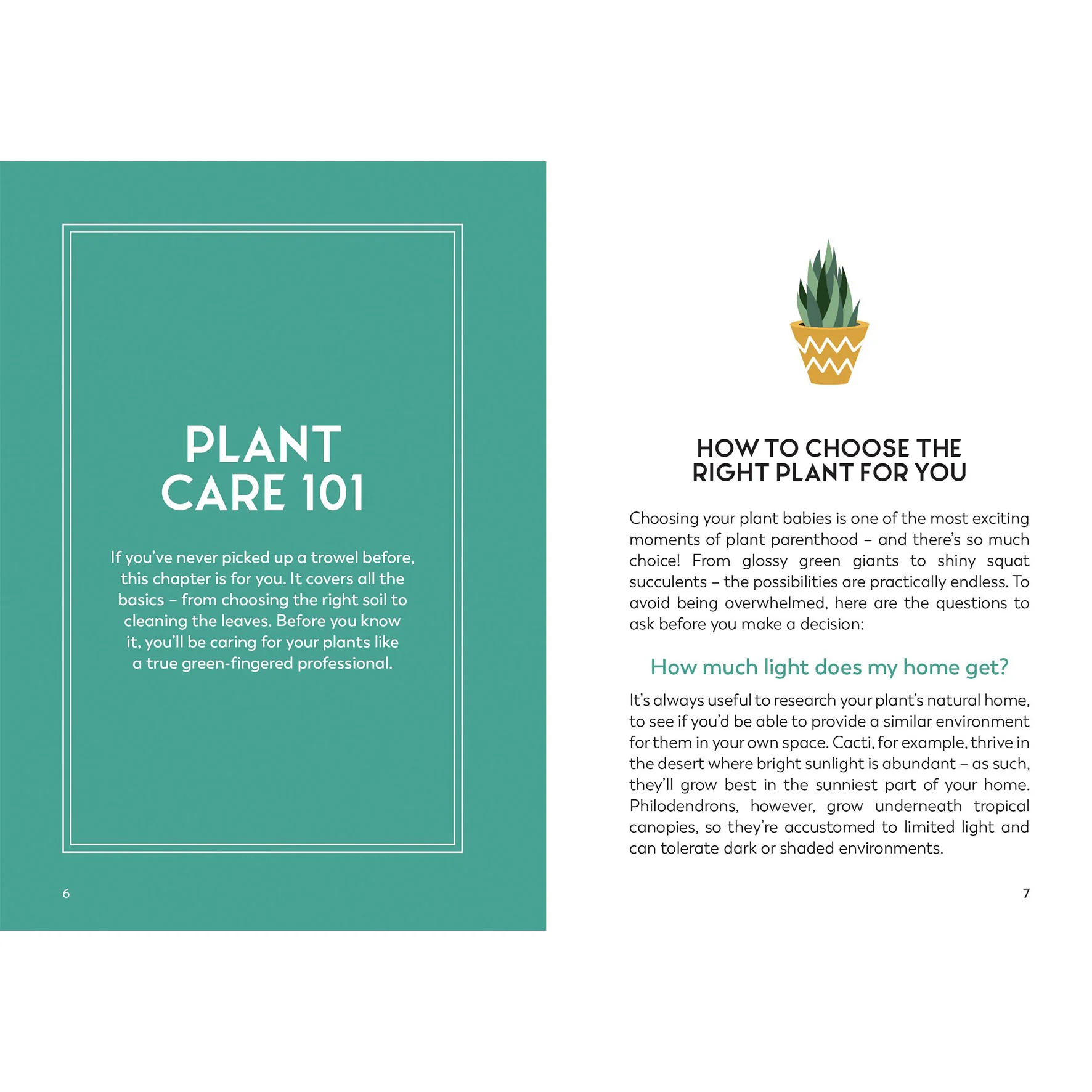 Little Book for Plant Parents - Image 4