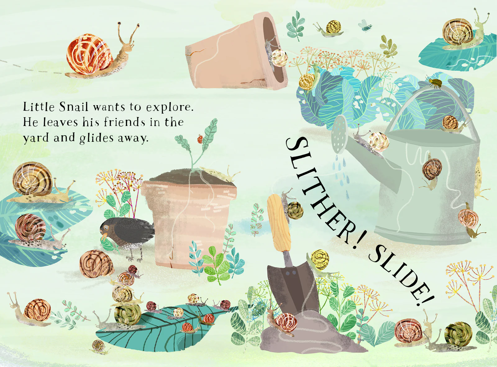 Little Snail's Book Of Bugs - Image 3