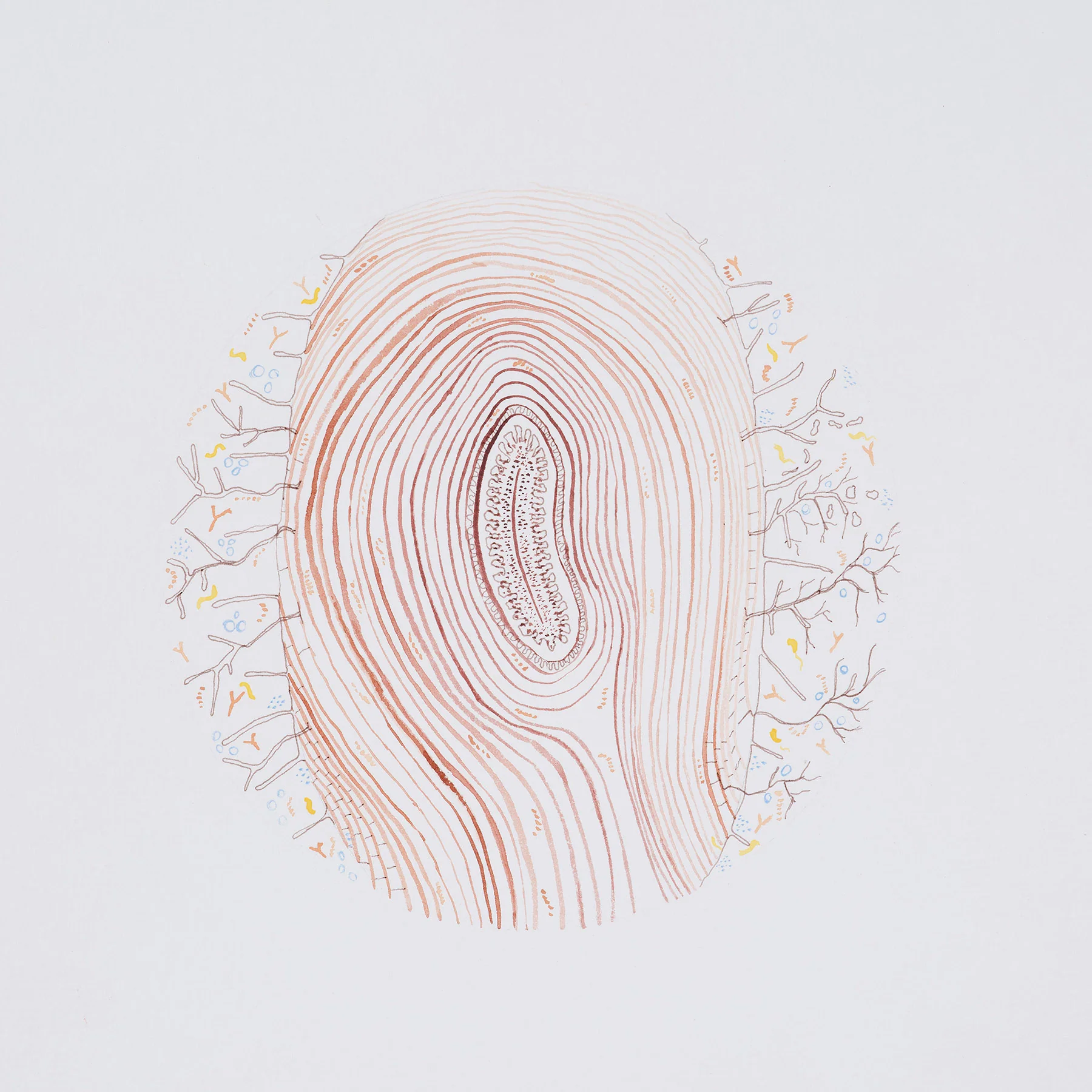 Natalie Taylor: Fingerprint Holobiont Print