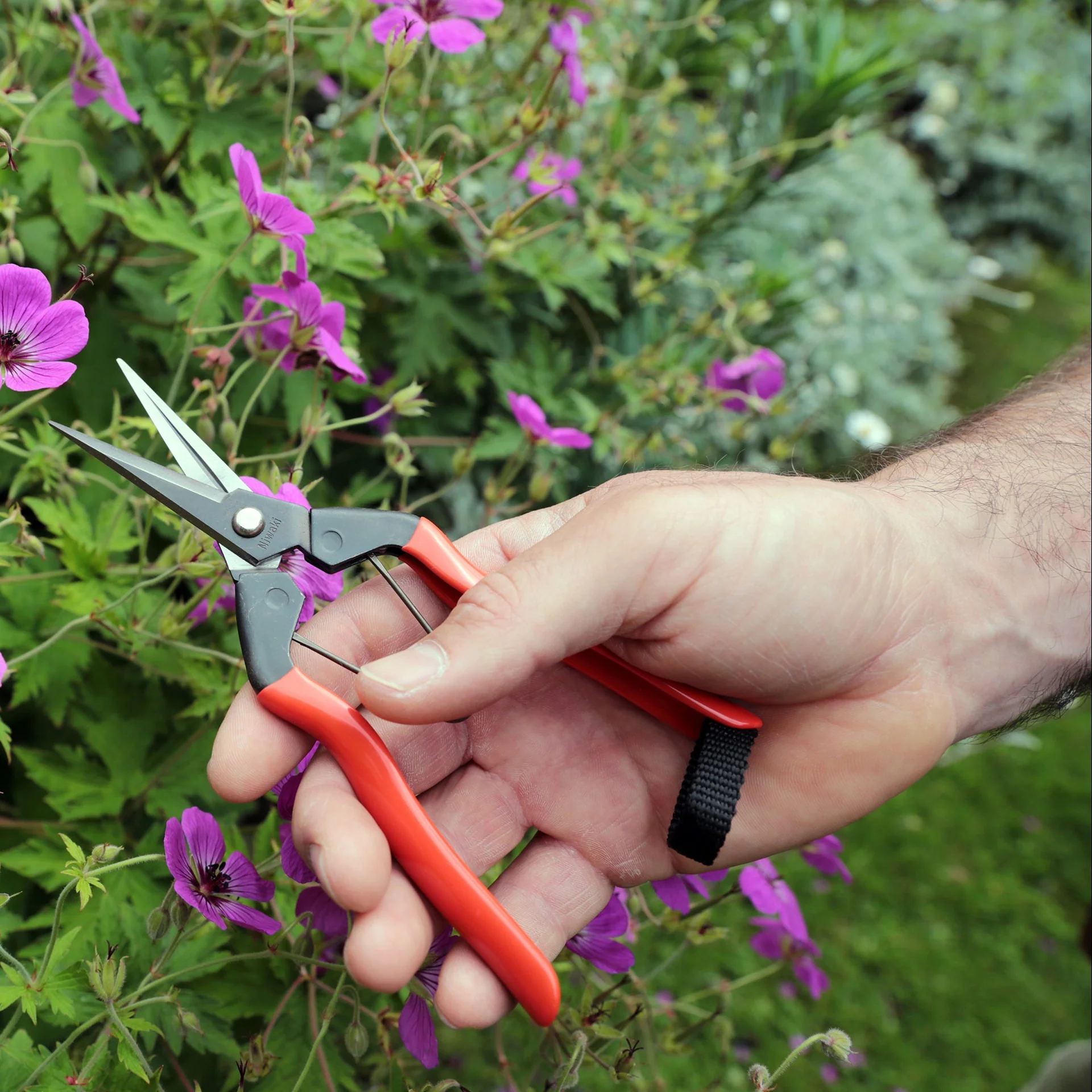Niwaki - Forged Snips - Image 3