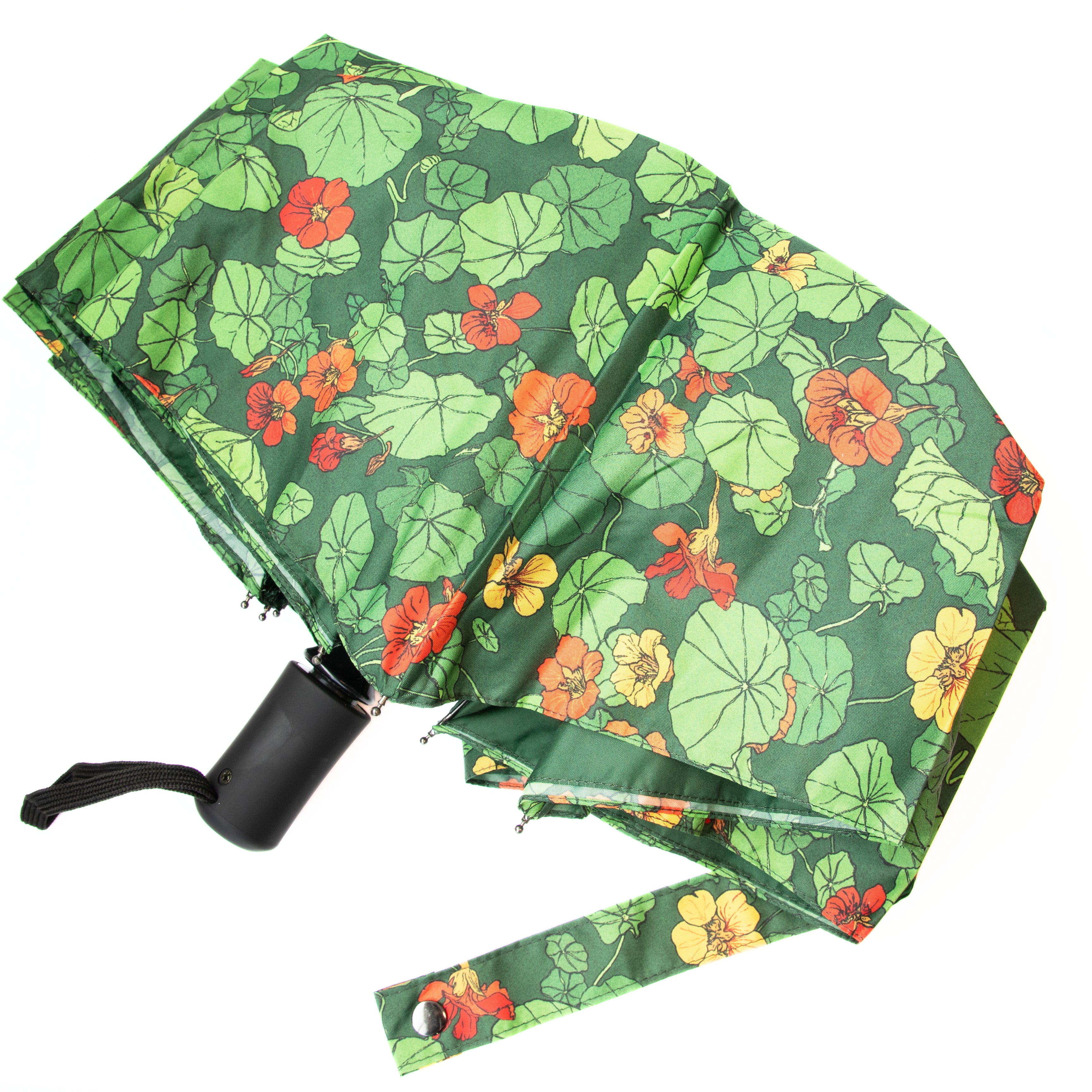 Planting with Nature: Nasturtium Umbrella