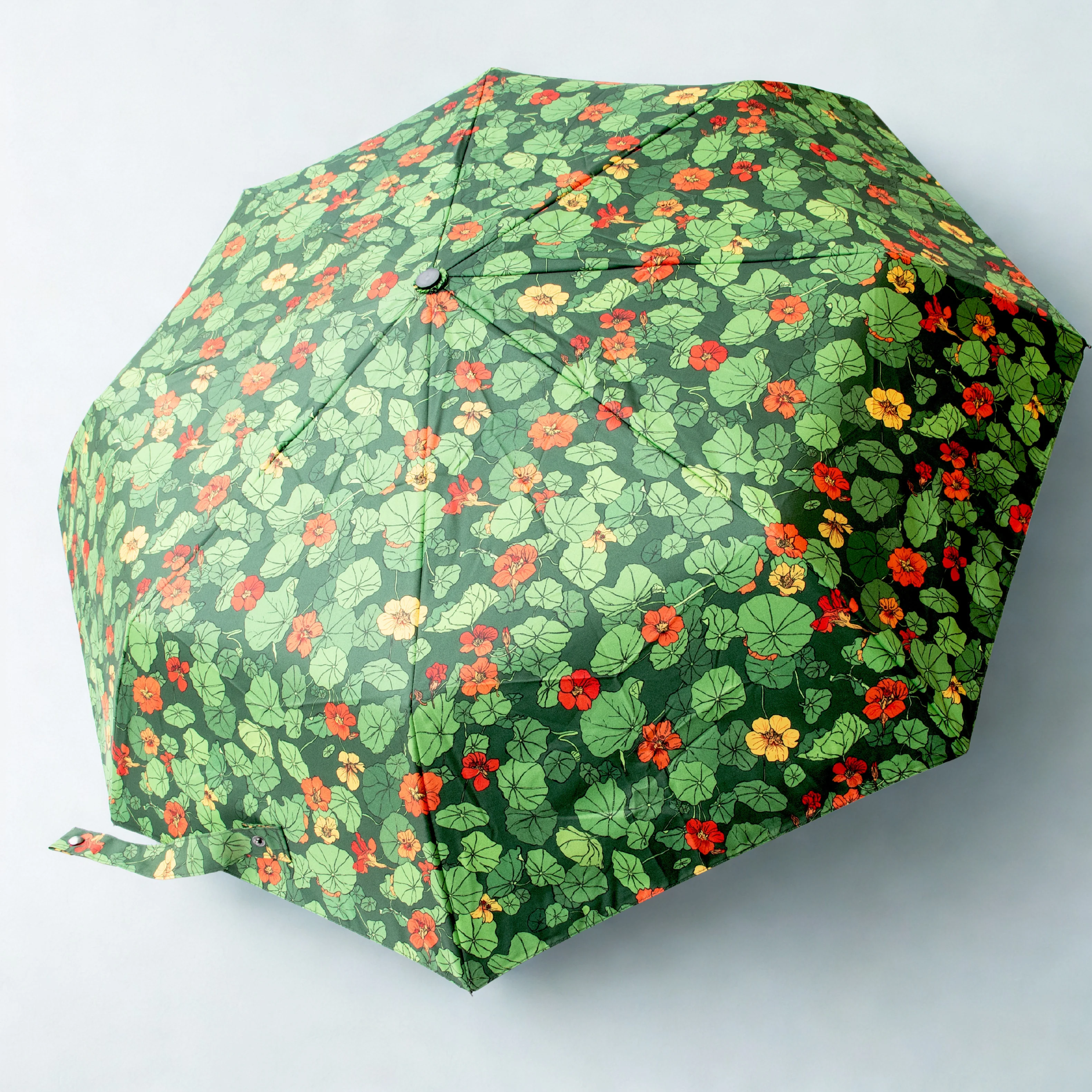 Planting with Nature: Nasturtium Umbrella - Image 2