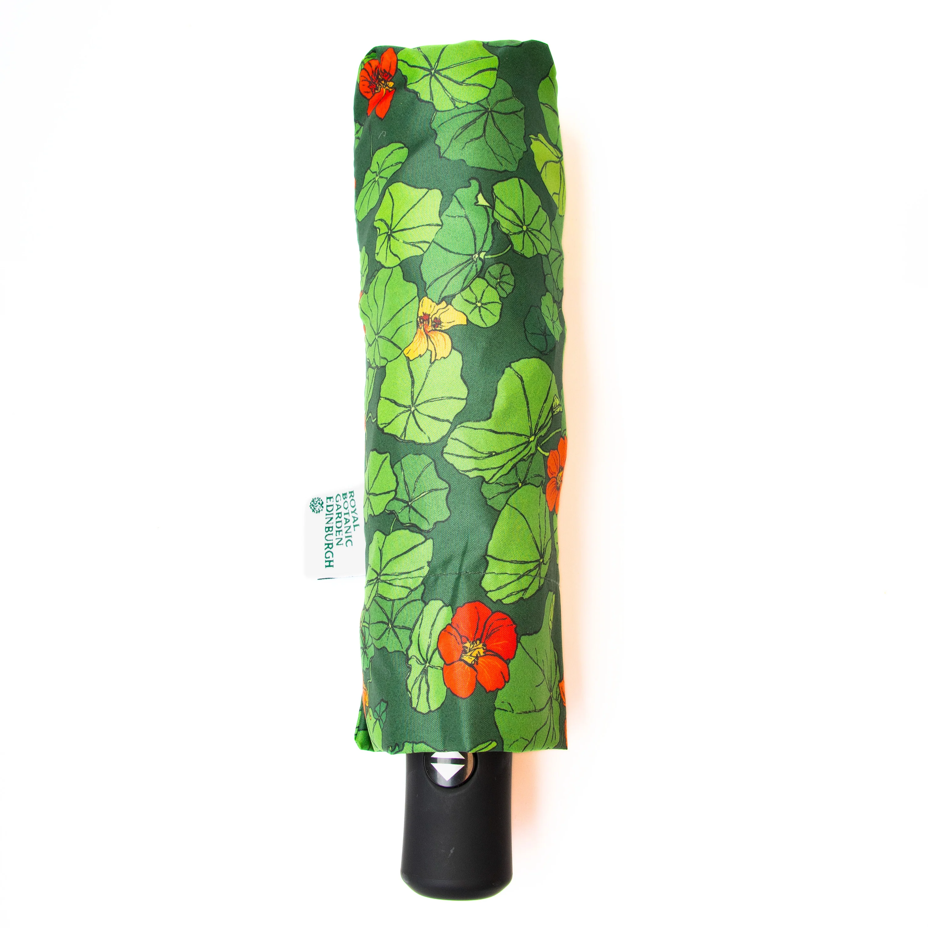 Planting with Nature: Nasturtium Umbrella - Image 3