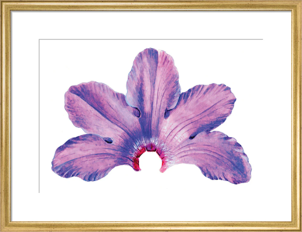 Rhododendron by Lillian Snelling - Image 10