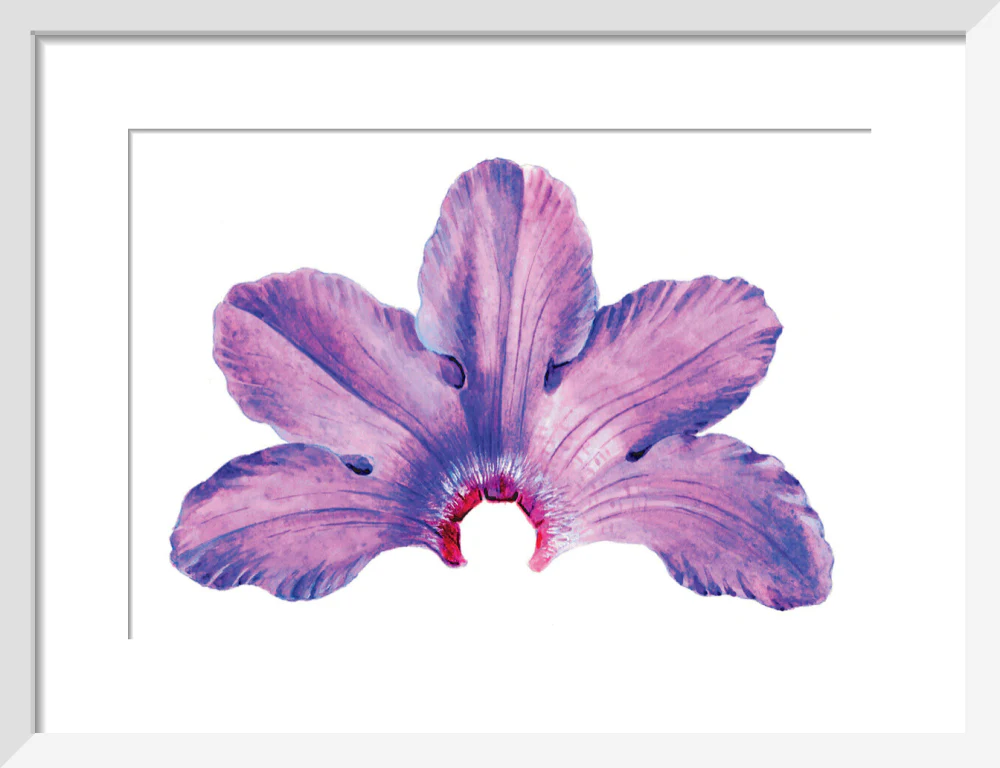 Rhododendron by Lillian Snelling - Image 4