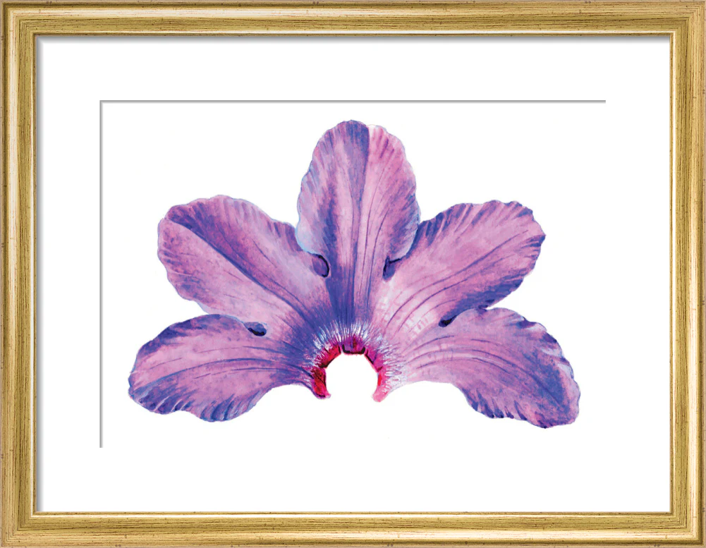 Rhododendron by Lillian Snelling - Image 5