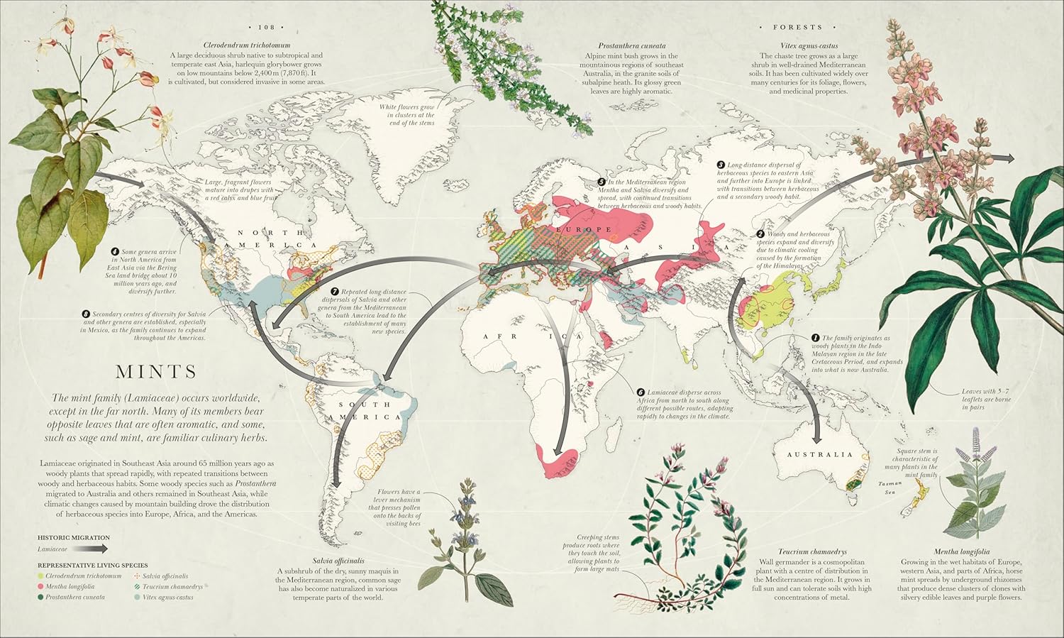 Atlas of Botany: An Exploration of Plants Across Time and Around the World - Image 10