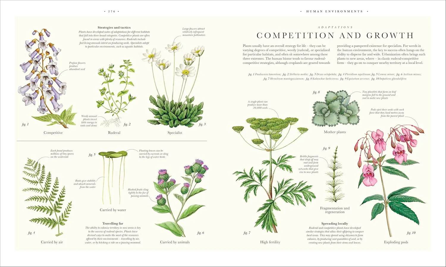 Atlas of Botany: An Exploration of Plants Across Time and Around the World - Image 21