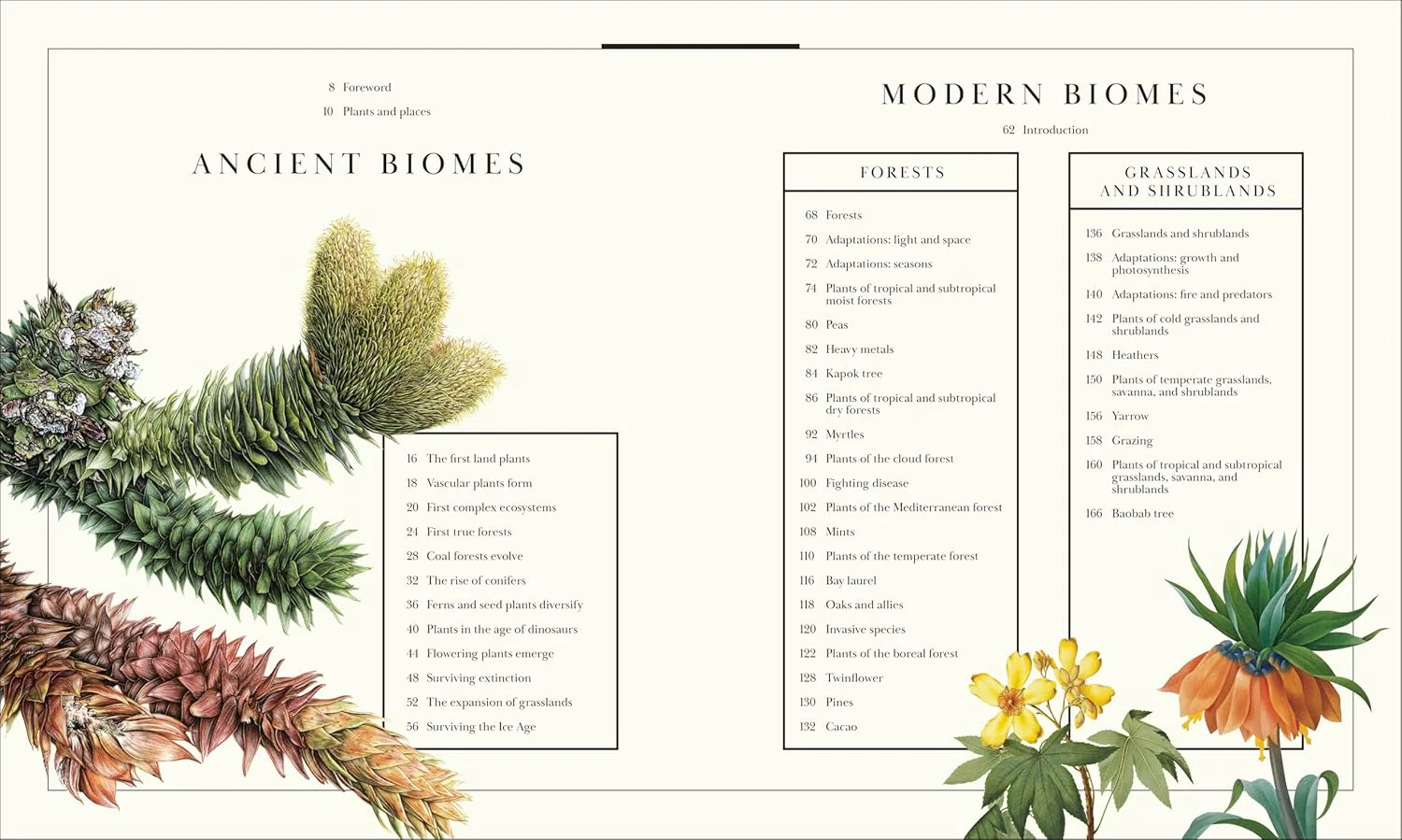 Atlas of Botany: An Exploration of Plants Across Time and Around the World - Image 3