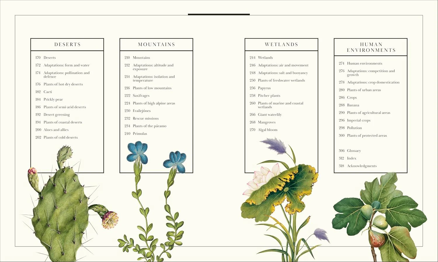 Atlas of Botany: An Exploration of Plants Across Time and Around the World - Image 4