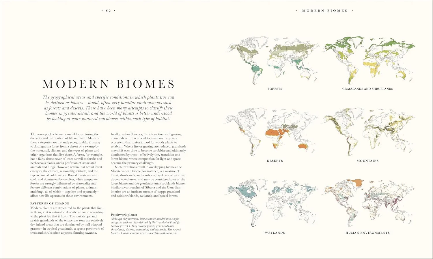 Atlas of Botany: An Exploration of Plants Across Time and Around the World - Image 8