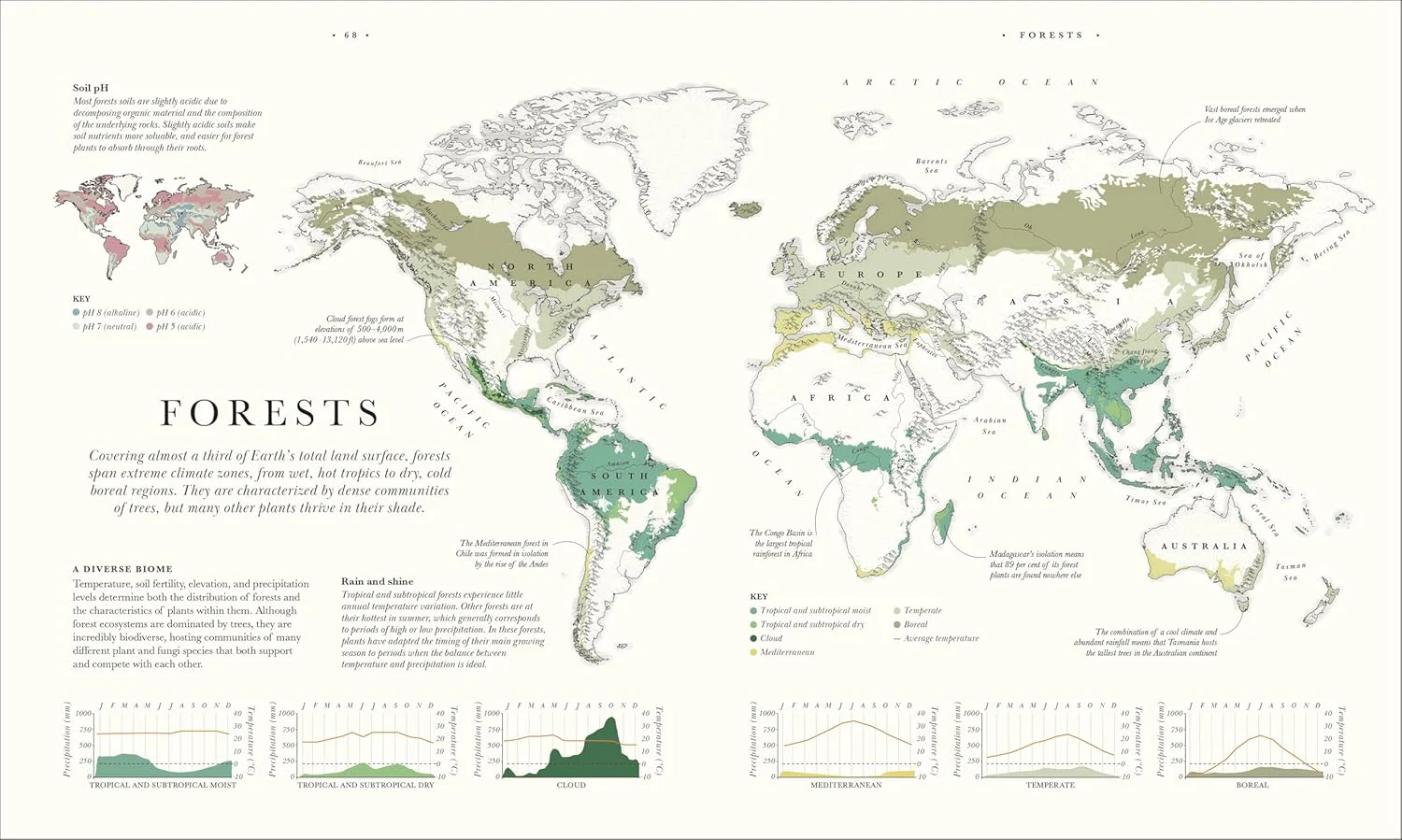 Atlas of Botany: An Exploration of Plants Across Time and Around the World - Image 9