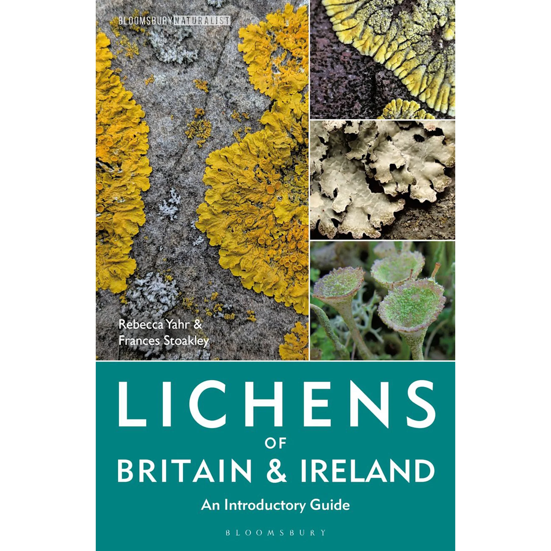 Lichens of Britain & Ireland