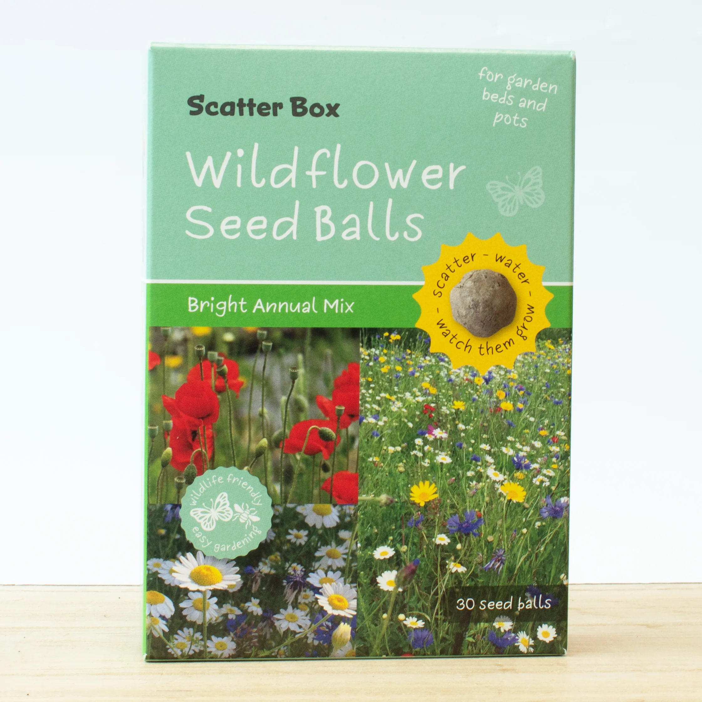 Scatter Box Wildflower Seed Balls - Bright Annuals