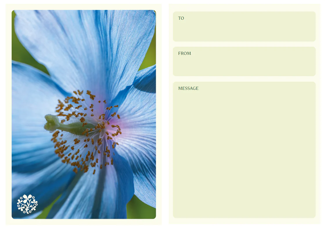 Short Course Gift Voucher Pack £100 - Image 3