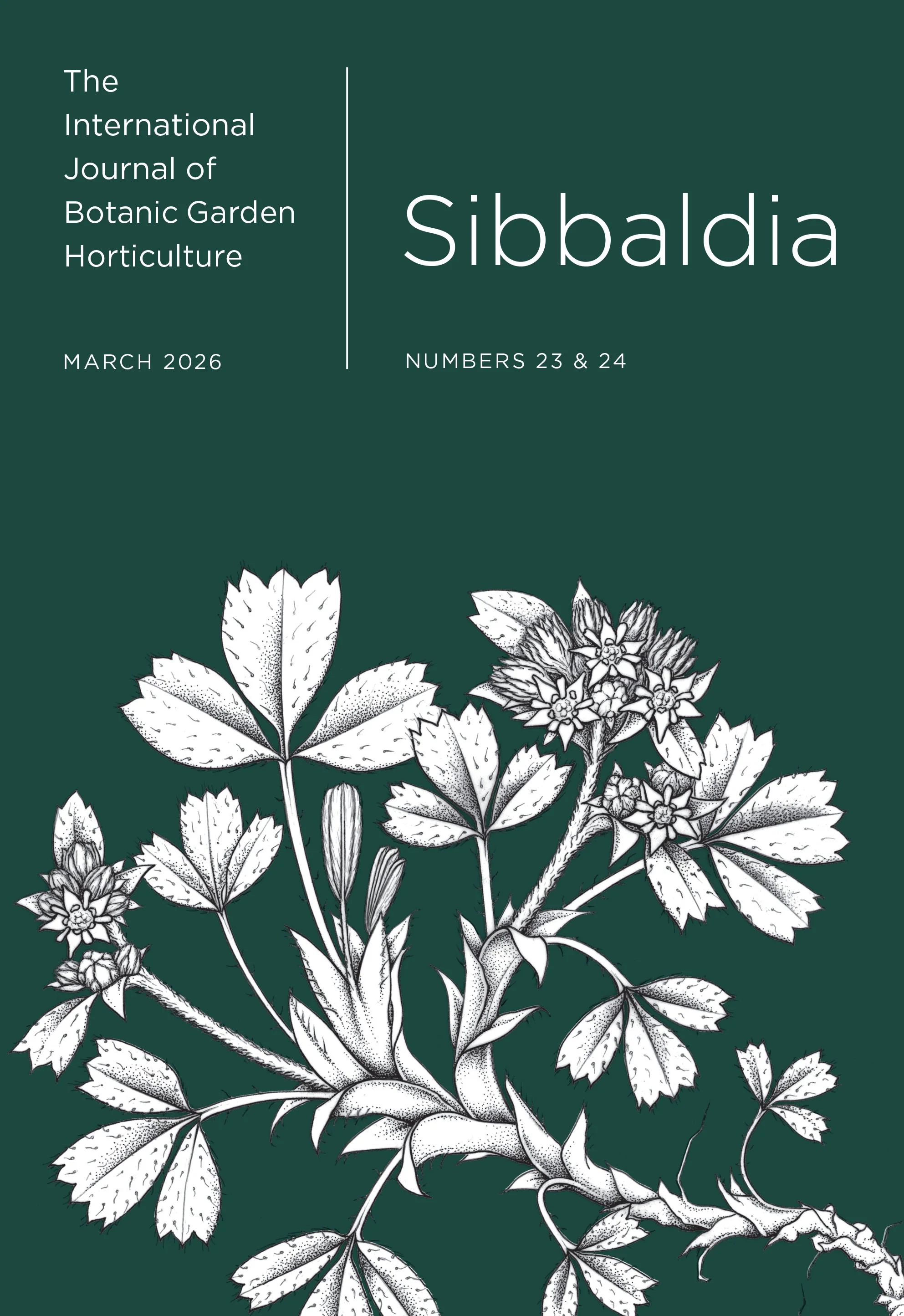 Sibbaldia Number 23 & 24