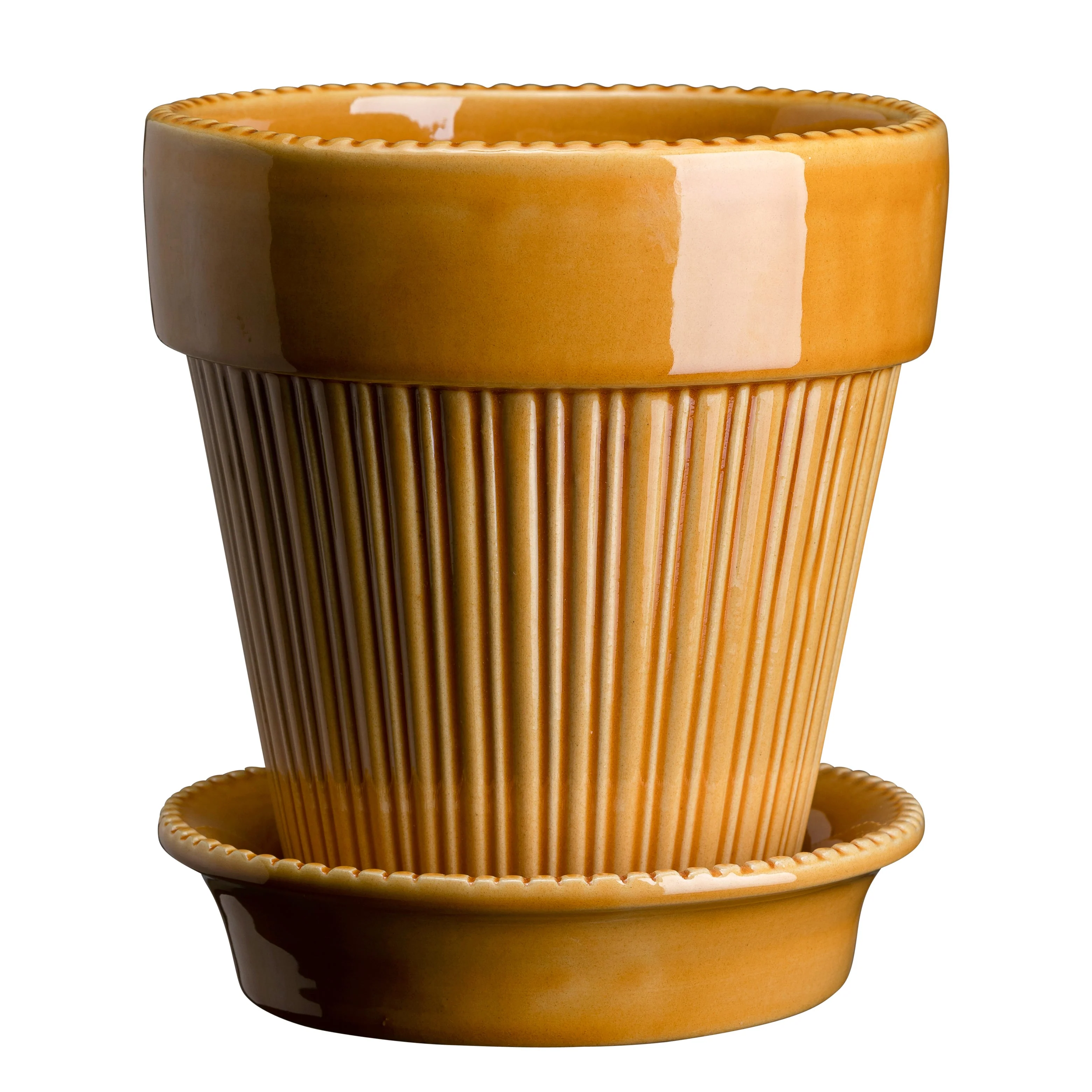 Bergs Potter - Simona Terracotta Pot and Saucer 12cm
