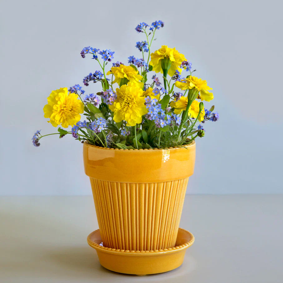Bergs Potter - Simona Terracotta Pot and Saucer 12cm - Image 2