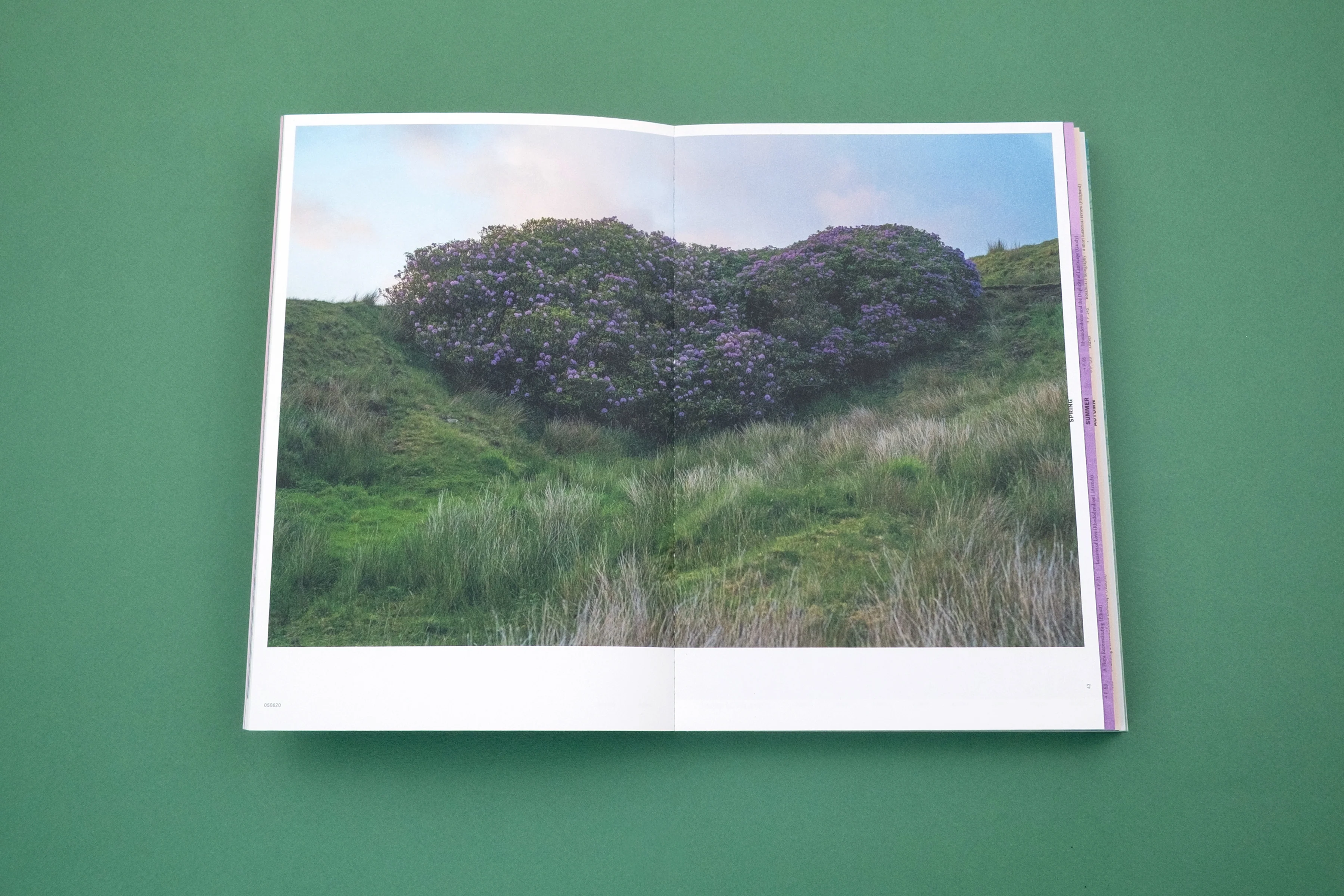 With Love From an Invader; Rhododendrons, Empire, China and Me - Image 3